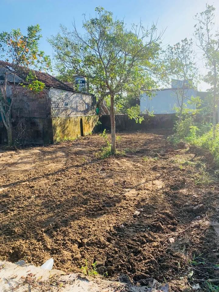 Đất nền Nghi Kim, Vinh 59.6m² - Đường 4m, gần chợ, trường học!