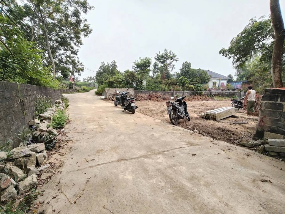 Đất thổ cư 112,5m² tại Hữu Tài, Tam Đảo - Gần khu công nghiệp, giá chỉ 600 triệu!