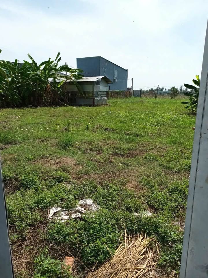 Đất 2 mặt tiền Long Hiệp, Bến Lức 1015m² giá 3.5 tỷ - Cơ hội đầu tư tuyệt vời!