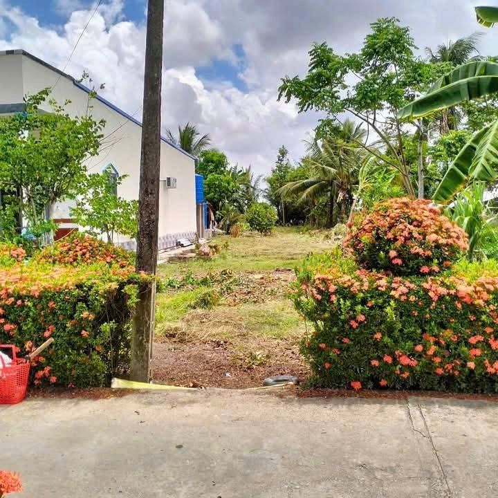 Đất nền 110m² xã Khánh Bình Đông, Cà Mau chỉ 550 triệu - Sổ hồng riêng, thổ cư 100%!