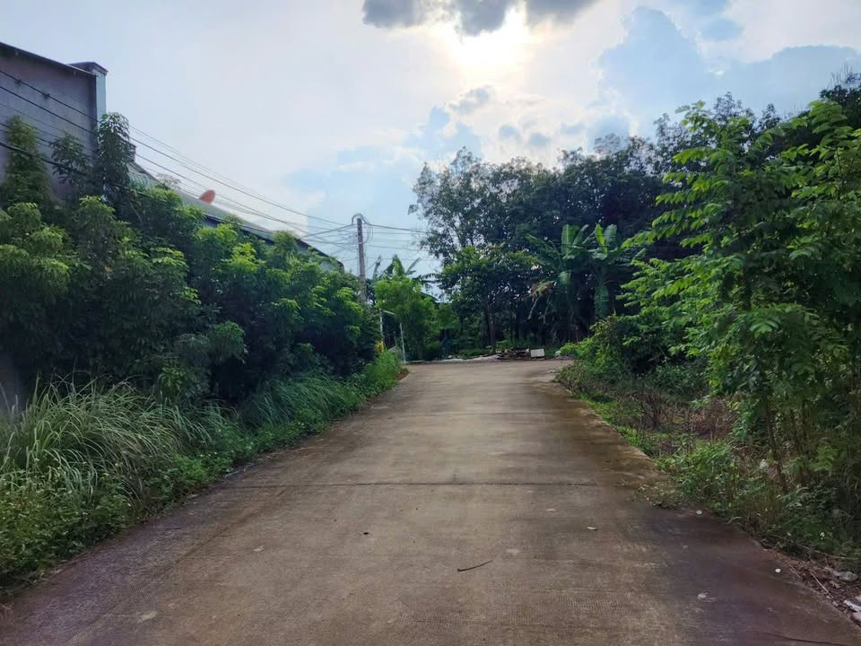 Đất thổ cư 300m² Nhánh 5b1, Tân Bình, Đồng Xoài giá 1.35 tỷ - Dân cư đông đúc, gần chợ!