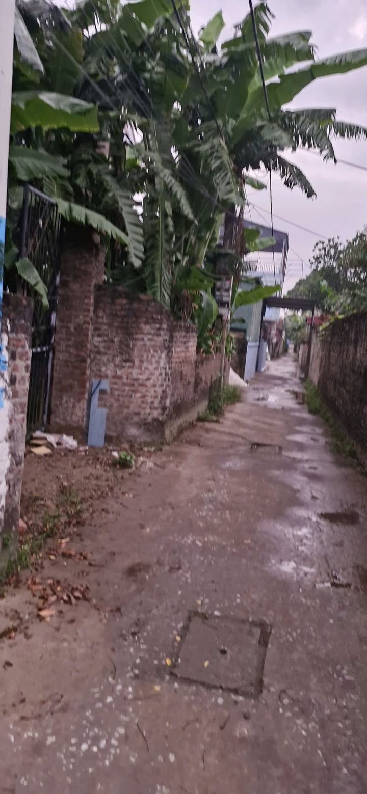 Đất nền Thường Tín 169m² giá chỉ từ 20 triệu/m² - Đường ô tô vào tận nơi!