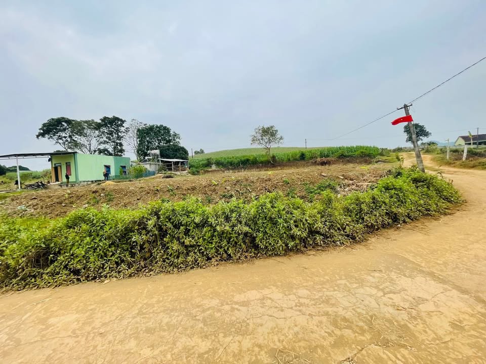 Đất nền tại làng Trung Chính, Nghĩa Lâm 245m² giá chỉ từ 150 triệu - Cơ hội đầu tư hấp dẫn!