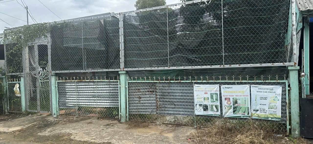 Đất nền đẹp Vĩnh Xuyên Châu Đốc 198m² giá 1.4 tỷ - Tiềm năng đầu tư sinh lời!