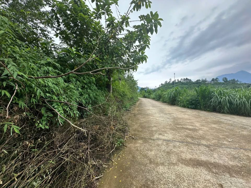 Đất Farm xã Yên Bài, Ba Vì 5800m² - Bìa đỏ chính chủ, giá thỏa thuận!