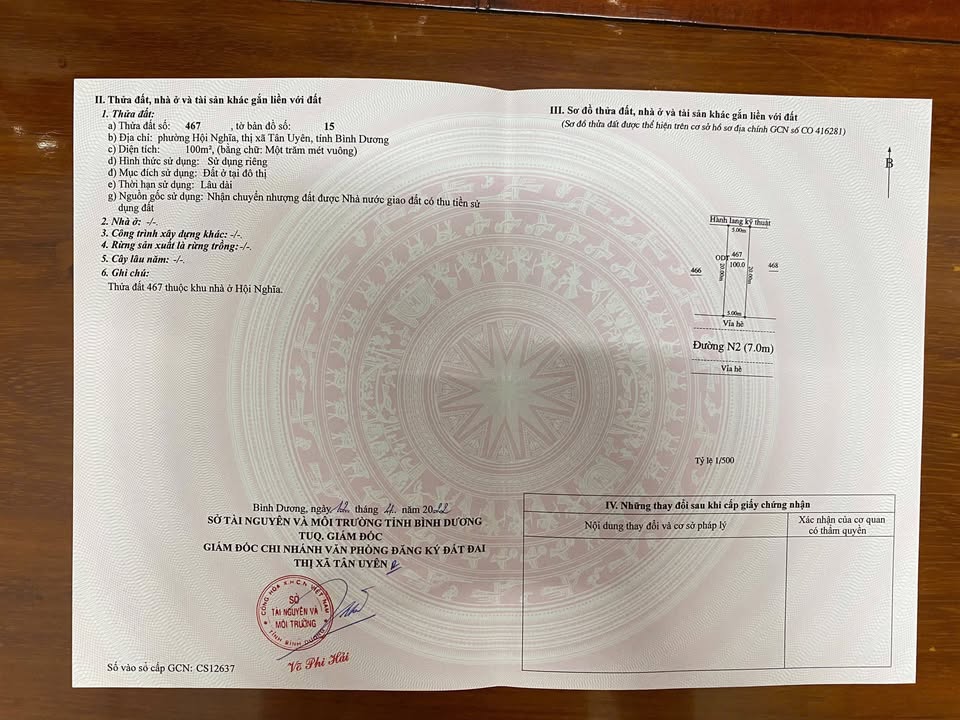 Đất thổ cư đường N2, Tân Uyên, 100m² - Sổ đỏ chính chủ, giá tốt!