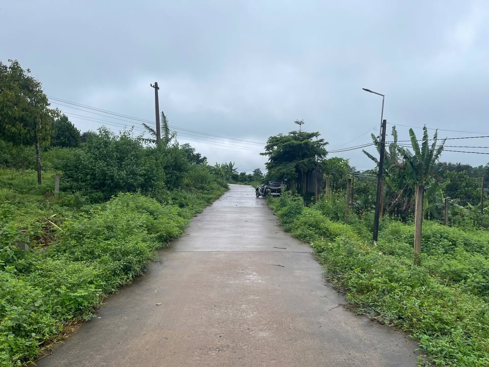 Đất thổ cư hẻm Lý Chính Thắng, Pleiku 442.68m² giá 920 triệu - View ruộng, lưng tựa rừng thông!