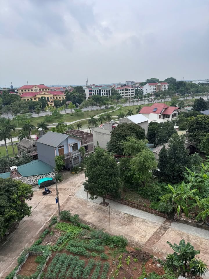 Đất nền Lăng Cẩm Việt Trì 220m² giá 5 tỷ - Vị trí đắc địa trung tâm!