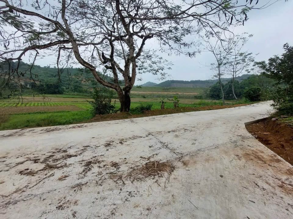 Đất nền Mỹ Hòa, Tân Lạc, Hòa Bình 1150m² giá 820 triệu - Đầu tư sinh lời ngay!