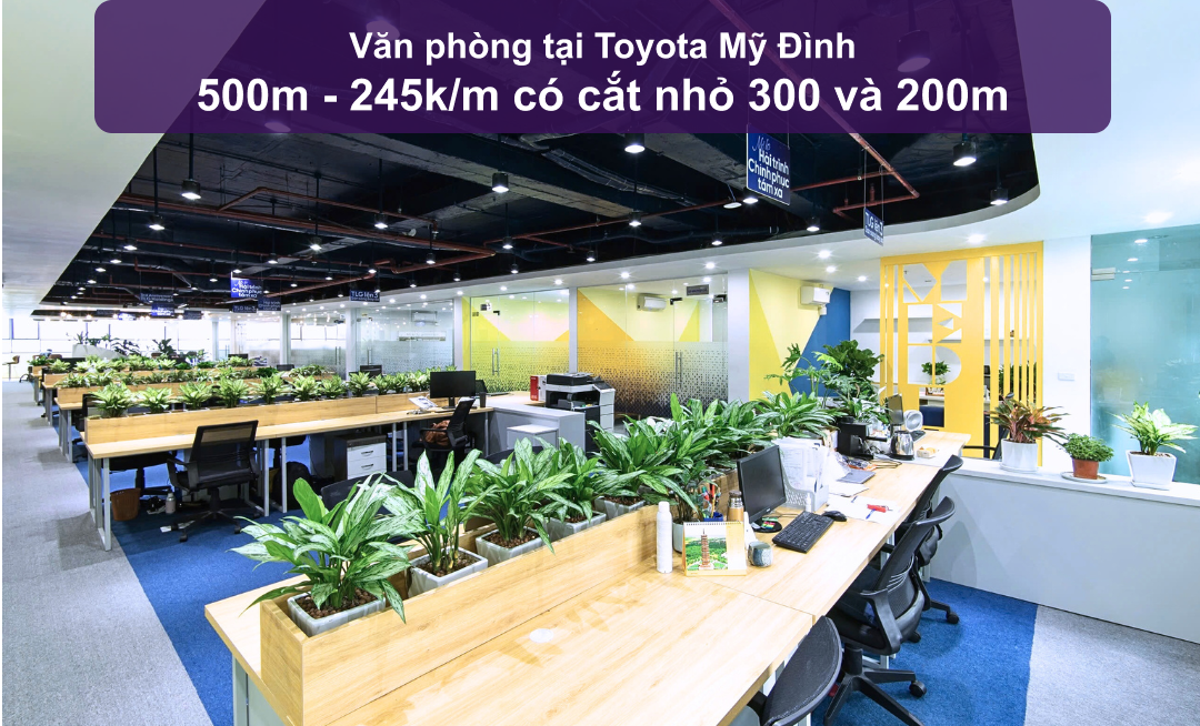 Văn phòng cho thuê tại Toyota Mỹ Đình 500m² - Nội thất cao cấp, giá chỉ 122.5 triệu!
