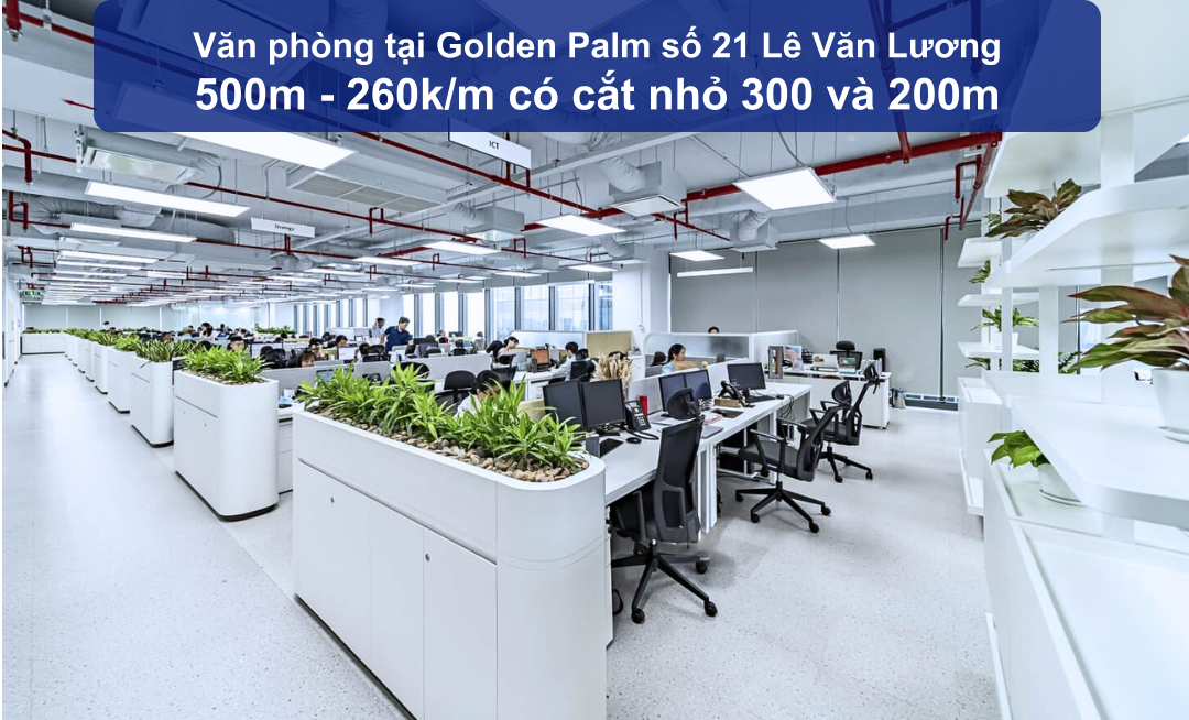 Văn phòng cho thuê Golden Palm 500m² giá 130 triệu - Sẵn sàng vào làm việc!