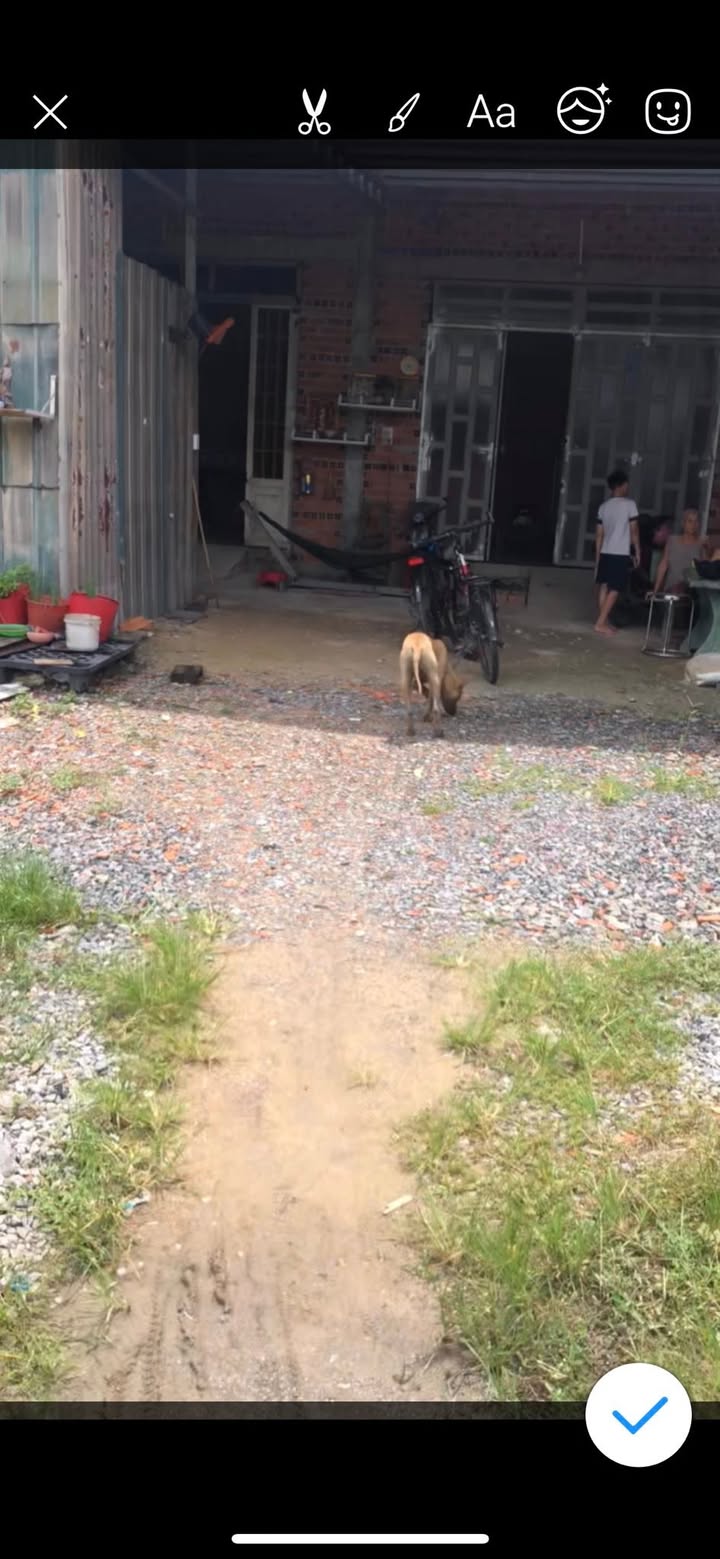 Đất nền Lộc An, Trảng Bàng, Tây Ninh 583m² giá chỉ 1.3 tỷ - Cơ hội đầu tư sinh lời!