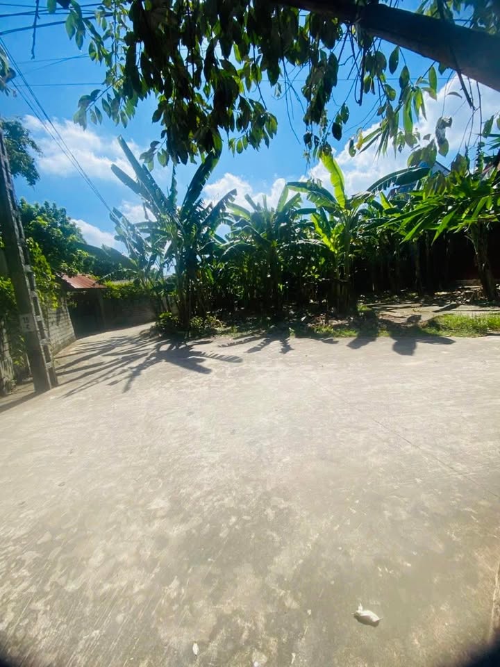 Đất nền chính chủ tại Cao Xá, Tân Yên, Bắc Giang - Giá chỉ 500 triệu