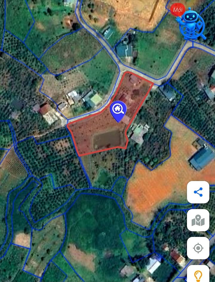 Đất nền Bảo Lộc 3000m² giá chỉ 2.8 tỷ - Cần tiền bán gấp!