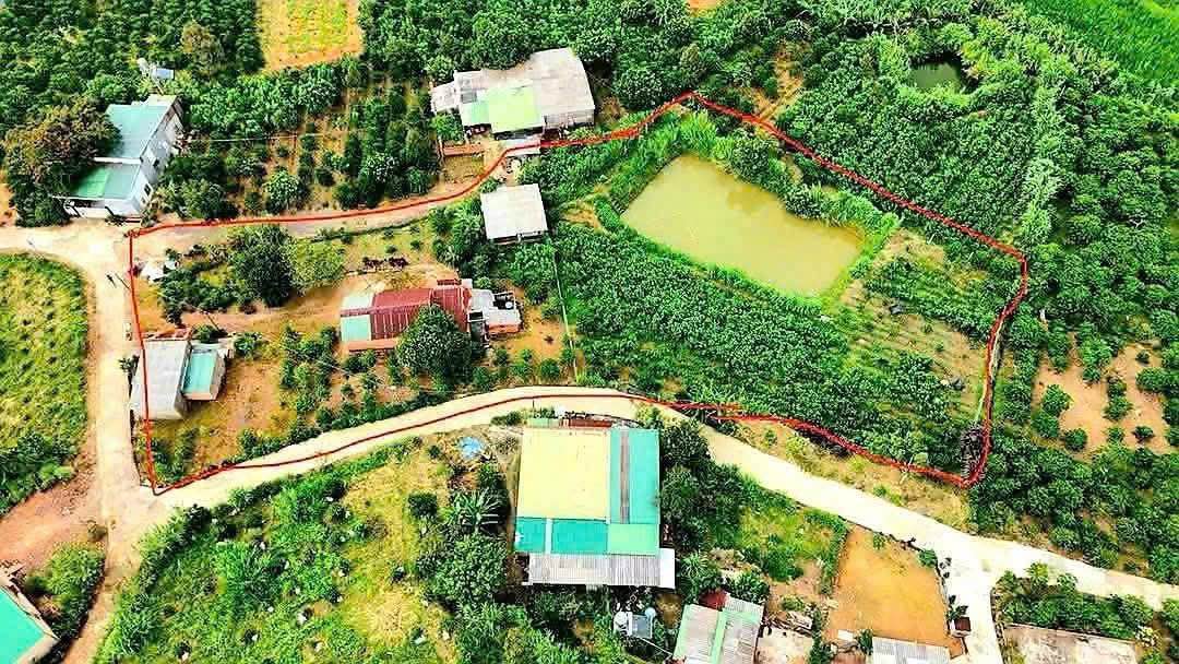 Đất nền 3000m² tại Đại Lào, Bảo Lộc, Lâm Đồng giá 2.8 tỷ - Cơ hội đầu tư tuyệt vời!