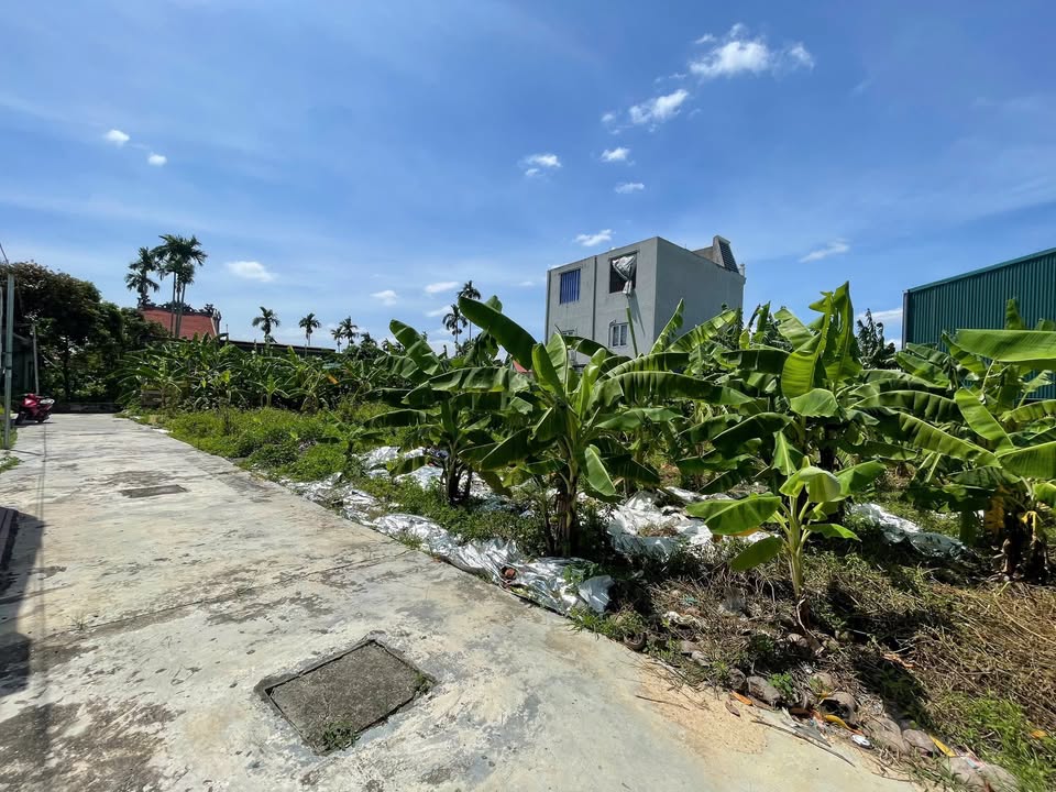 Đất nền 173m² Lê Lợi, An Dương giá 2.5 tỷ - Cơ hội đầu tư hấp dẫn!