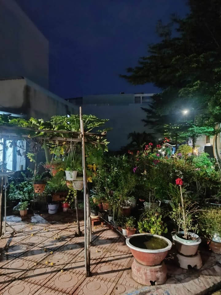 Đất góc 2 mặt tiền đường Nguyễn Trác, Quy Nhơn 46m² giá 3.15 tỷ - Đầu tư sinh lời ngay!