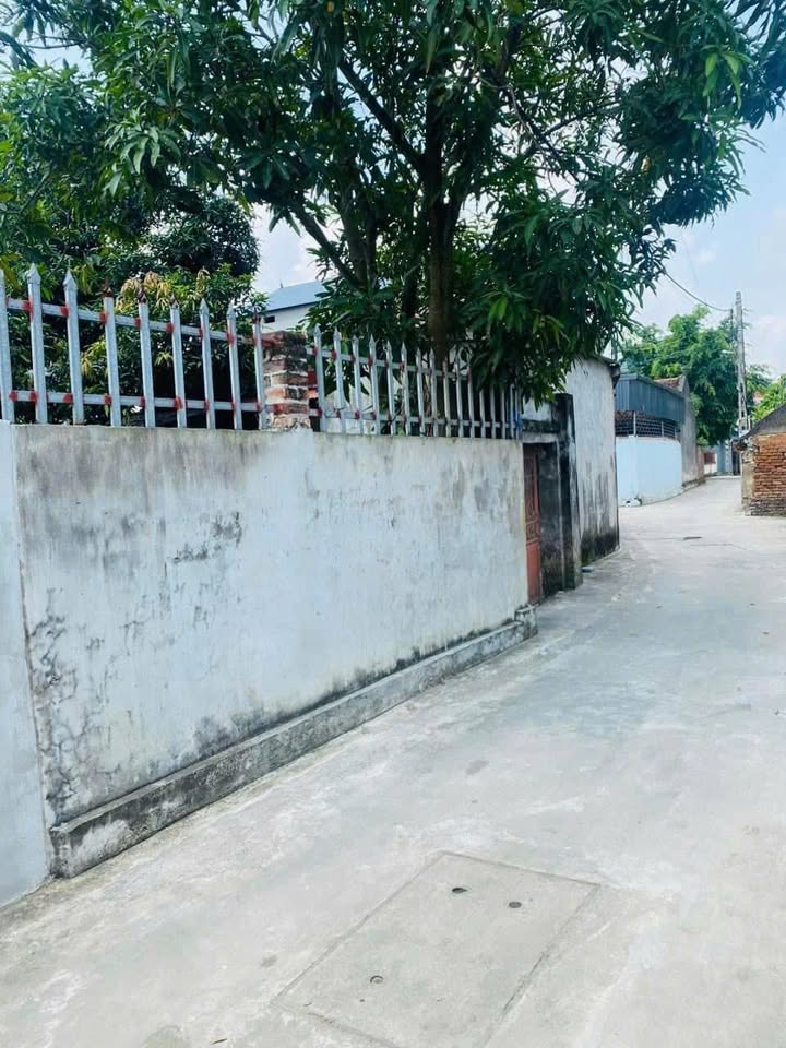 Đất thổ cư tại Thôn Thanh Huệ, Đa Phúc, Sóc Sơn - 80m², sẵn sàng cho đầu tư!