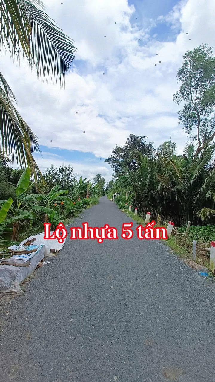 Đất nền mặt tiền lộ Nhựa xã Mỹ Thuận, huyện Bình Tân - 250m² chỉ 400 triệu!