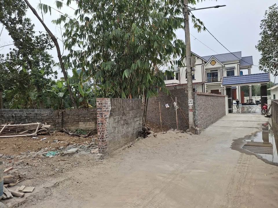 Đất nền tại Tây Đằng, Ba Vì 210m² giá thỏa thuận - Đường ô tô vào tận nơi!