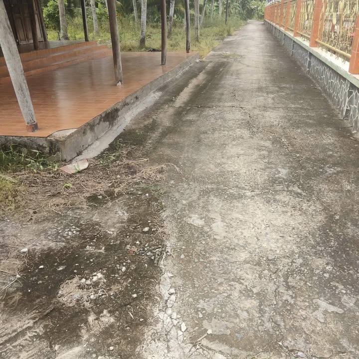 Nhà đất Bến Tre 700m² giá 900 triệu - Phù hợp đầu tư sinh lời!