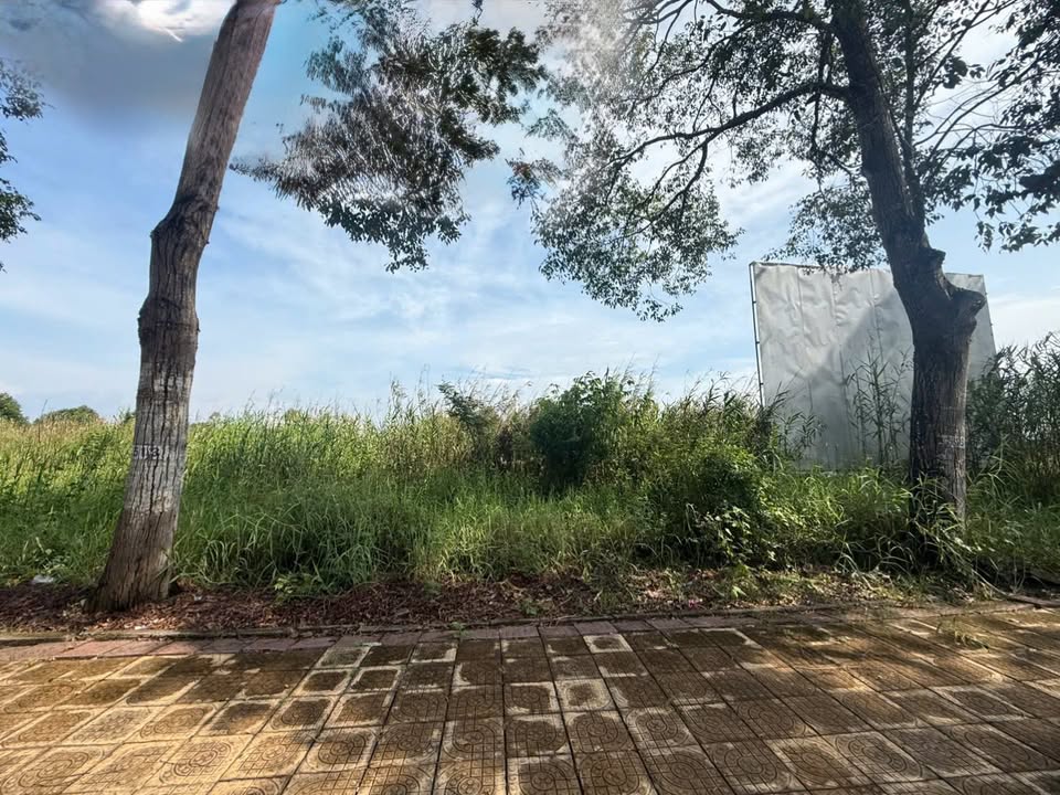 Đất nền biệt thự mặt tiền Võ Văn Kiệt, Phường 5, Vị Thanh, Hậu Giang - Giá 2.35 tỷ, Sổ đỏ chính chủ!