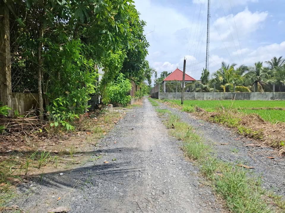 Đất nền Hòa Khánh Đông 2156m² giá 3.2 tỷ - Đầu tư sinh lời ngay!