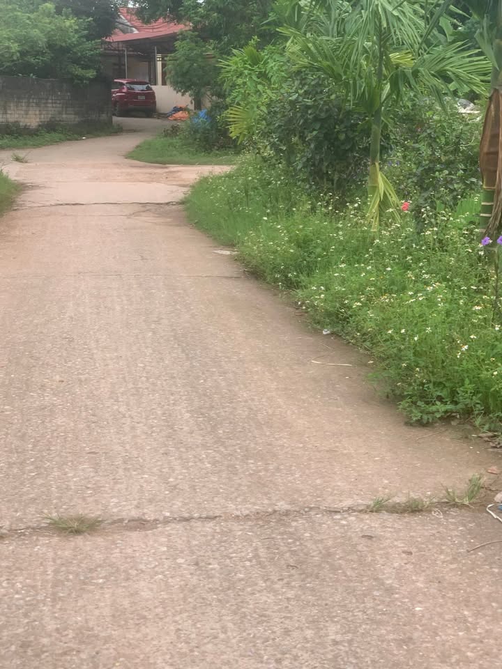 Đất nền Tân Hòa, Phú Bình 115m² - Đầu tư sinh lời cao!