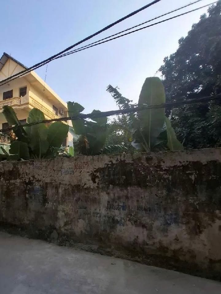 Đất Phú Thượng Tây Hồ 190m² giá 16.3 tỷ - Sổ đỏ chính chủ, ô tô vào tận nơi!