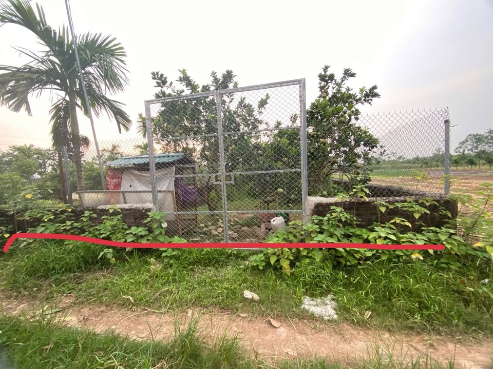 Đất vườn 344m² tại Đa Phúc, Quốc Oai - Giá chỉ 6.88 tỷ!