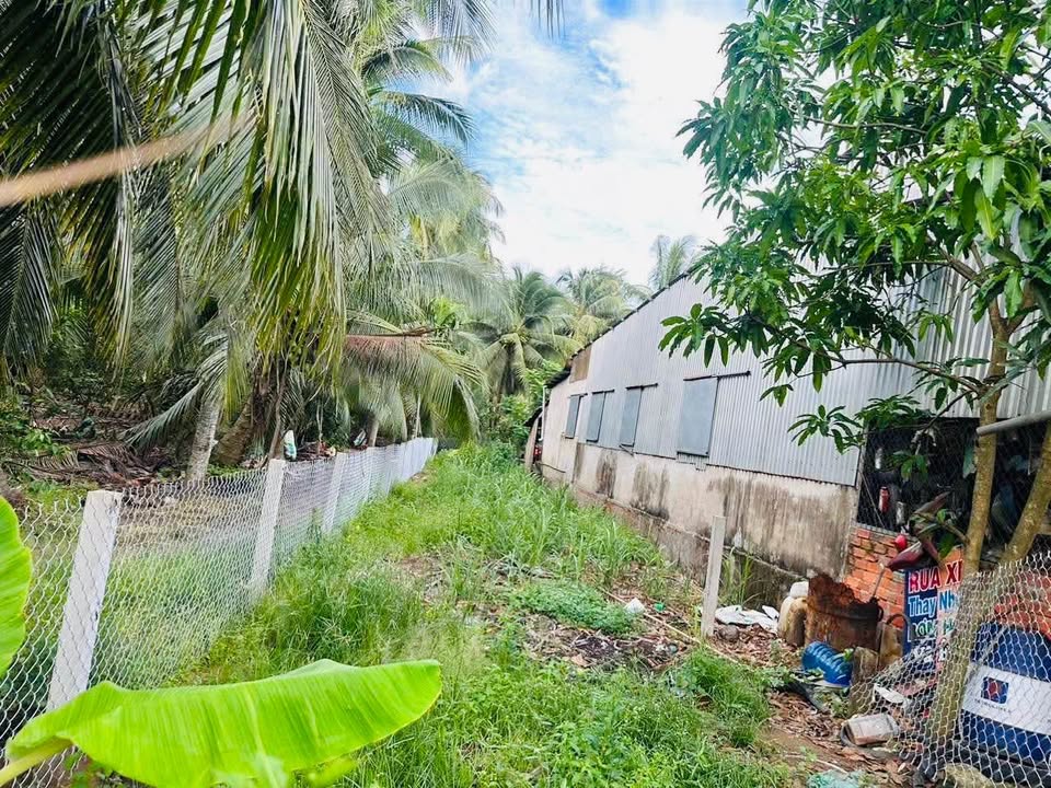 Đất nền thổ cư mặt tiền QL57C - Giồng Trôm 170m² giá 790 triệu - Tiềm năng đầu tư lớn!