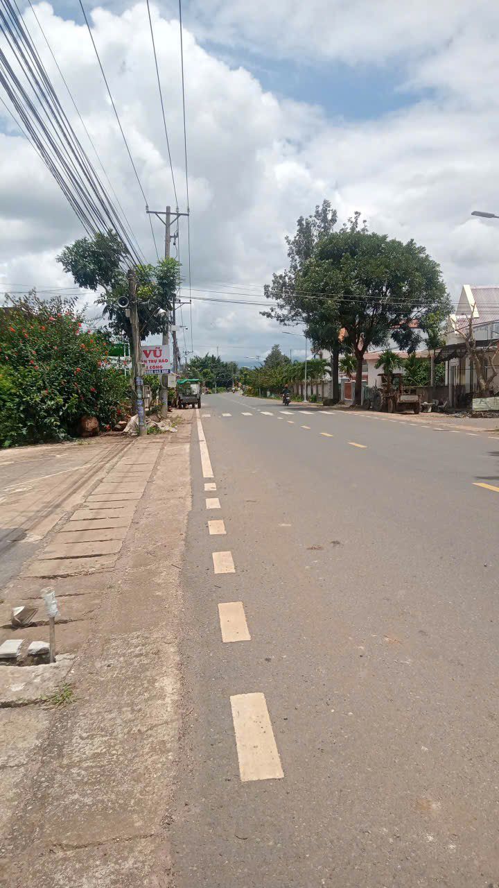 Đất nền Tân Hội, Đức Trọng 484m² giá 2.4 tỷ - Mặt tiền đường lớn kinh doanh sầm uất!