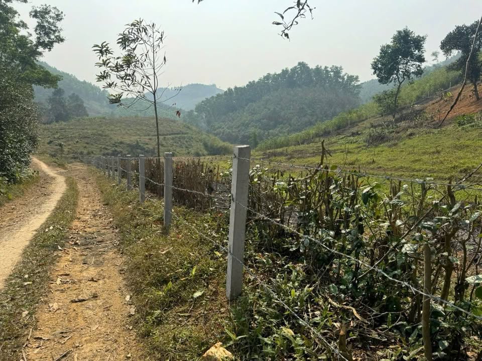 Đất nền xã Minh Hòa, Yên Lập 858m² giá chỉ 400 triệu - Đất nở hậu, vị trí đẹp!