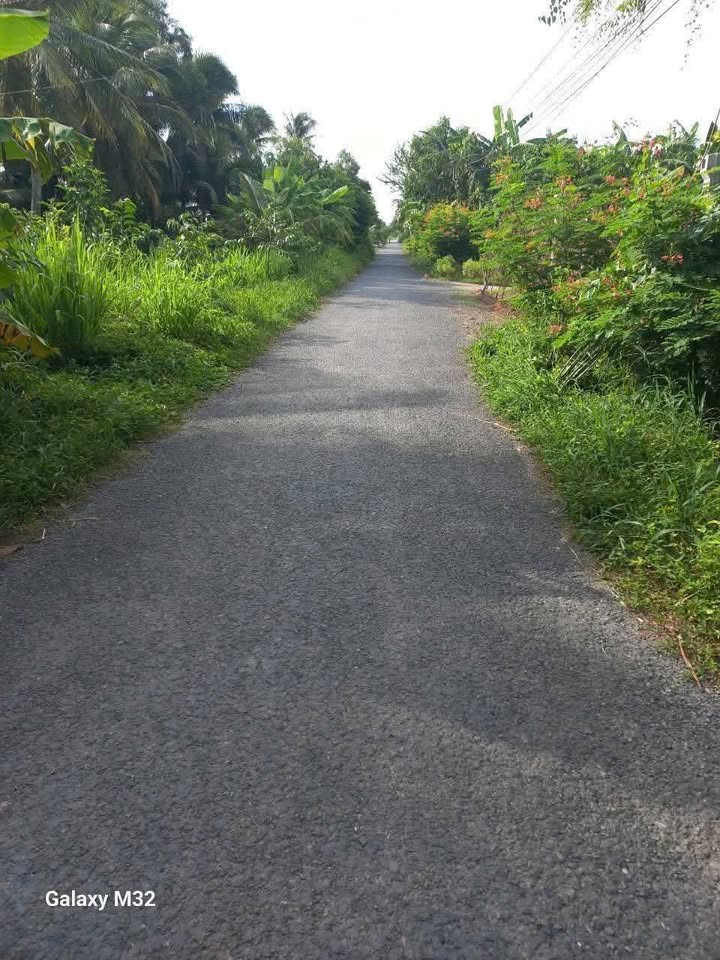 Đất nền mặt tiền ấp Sa Bình, Trà Vinh 234m² giá 799 triệu - Cơ hội đầu tư sinh lời!