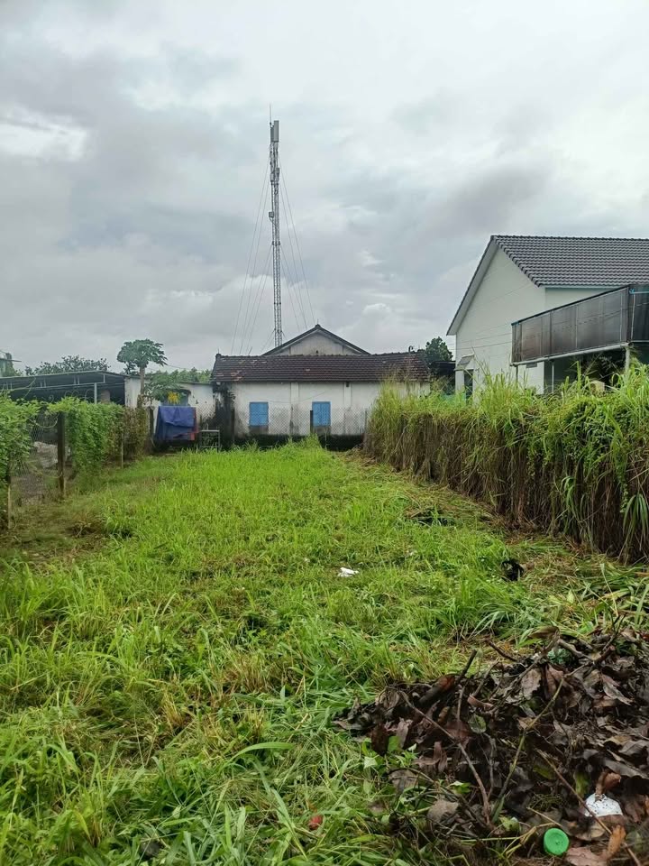 Đất thổ cư 92m² tại Bình Lợi, Vĩnh Cửu - Sổ đỏ chính chủ, giá thỏa thuận!