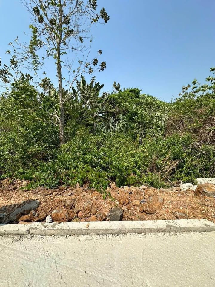 Đất nền Tân Phú - 84m² chỉ 900 triệu - Đầu tư sinh lời ngay!