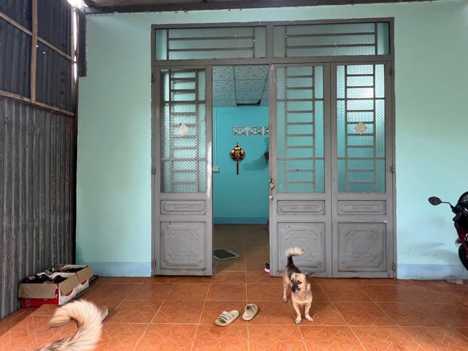 Nhà ở KP Thanh Bình, Gò Dầu 80m² giá 590 triệu - Cực hiếm, đầy đủ thổ cư!