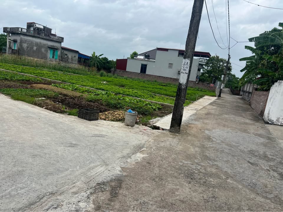 Đất nền Tân An, Thanh Hà 135m² - Lô góc hai mặt tiền đường rộng thoáng!