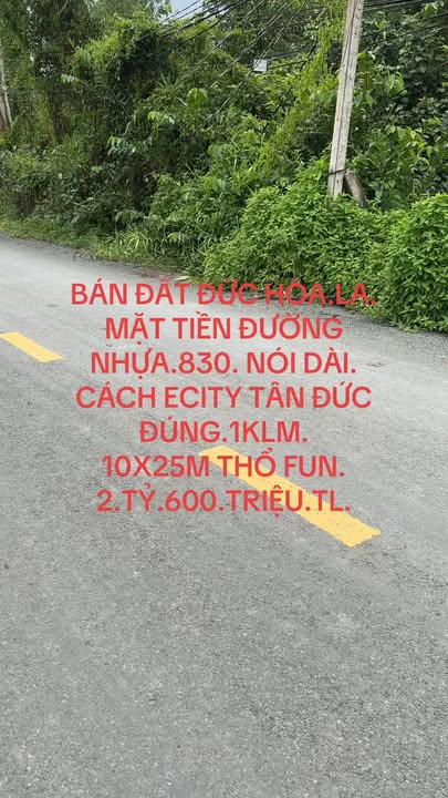 Đất nền Ấp 1B, xã Hựu Thạnh, Đức Hòa 250m² giá 2.599 tỷ - Đầu tư sinh lời lý tưởng!