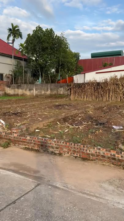 Đất nền Vân Nam, Phúc Thọ 80m² - Đầu tư sinh lời ngay!