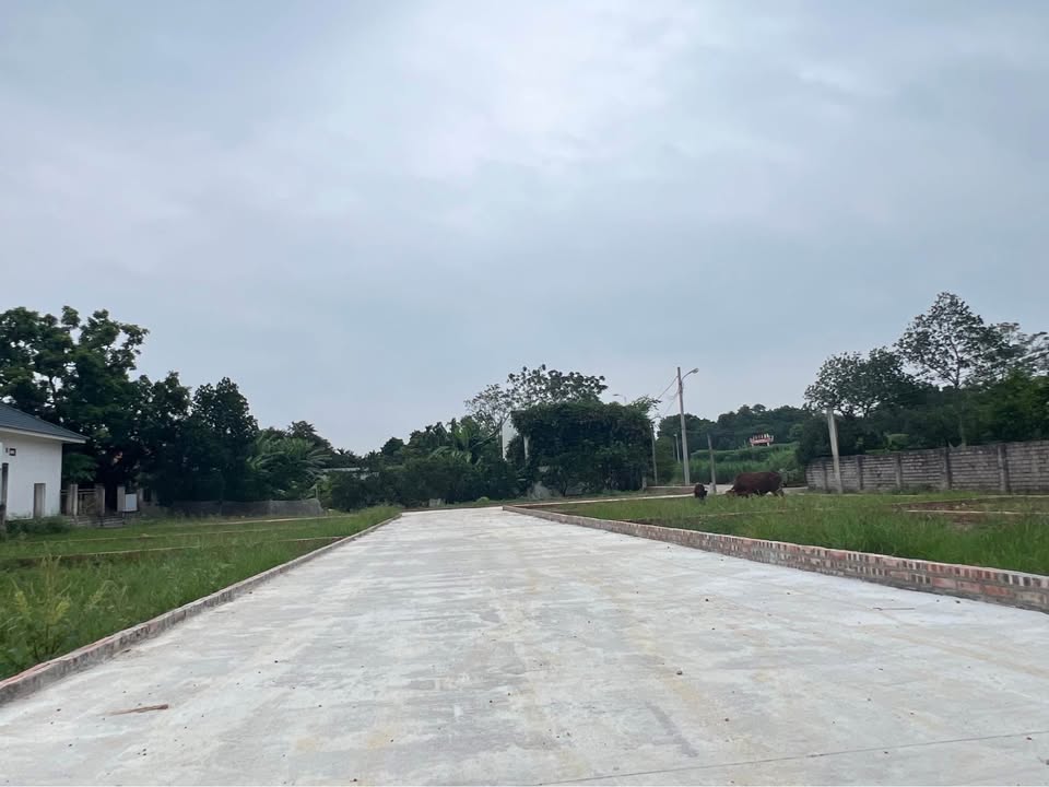 Đất nền 100m² tại Đoài Phương, Sơn Tây chỉ 1.3 tỷ - Đầu tư sinh lời ngay!