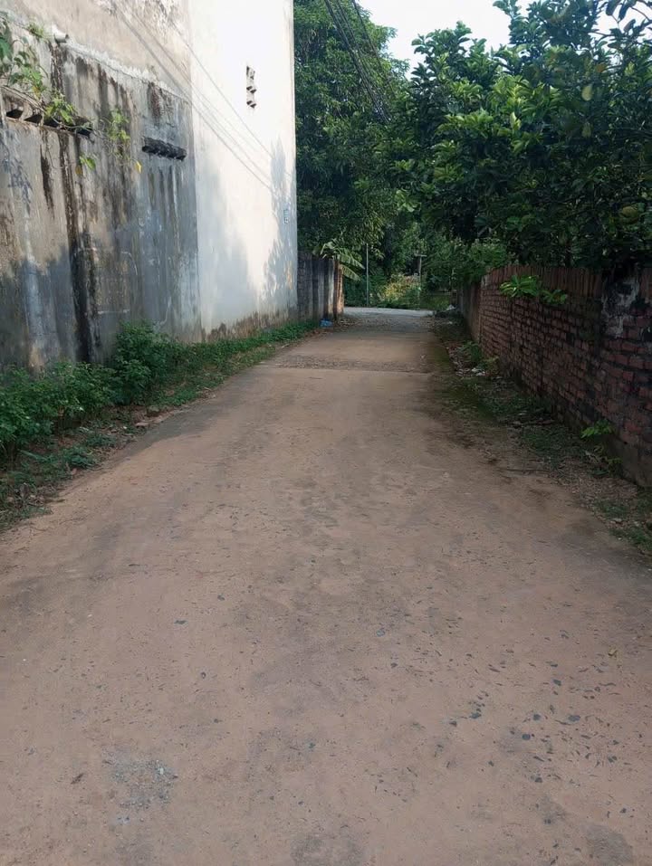 Đất thổ cư Kim Long Vĩnh Yên 101m² giá 1.1 tỷ - Vị trí đẹp, giao thông thuận lợi!