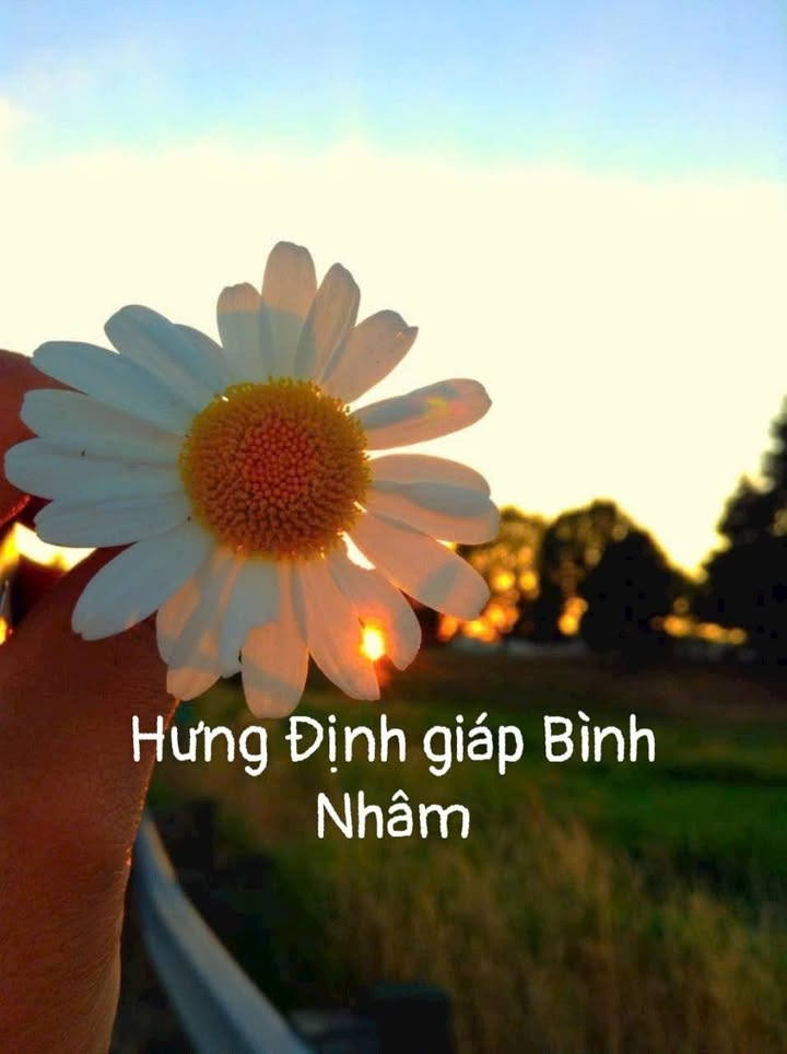 Đất Hưng Định, Thuận An 80m² - Giá đầu tư còn tốt!