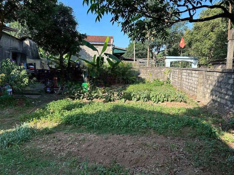 Đất thổ cư Linh Sơn, Thái Nguyên 148m² giá chỉ 1.4 tỷ - Lô góc 2 mặt tiền!