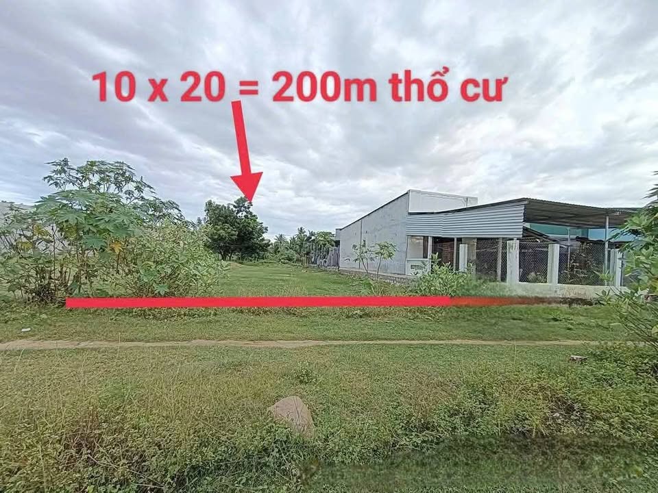 Đất thổ cư 200m² tại La Chữ – Phước Hữu chỉ 500 triệu - Sổ hồng riêng, pháp lý rõ ràng!