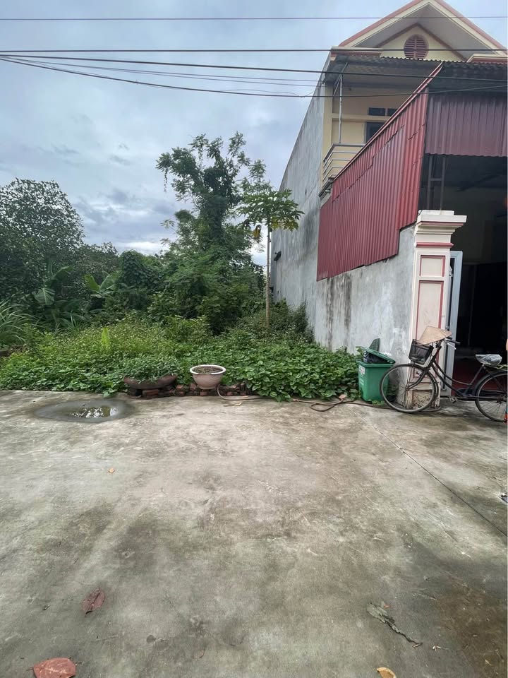 Bán đất thổ cư 52,4m² trục chính Bắc Thượng, Sóc Sơn - Sổ đỏ chính chủ, giá 1 tỷ!