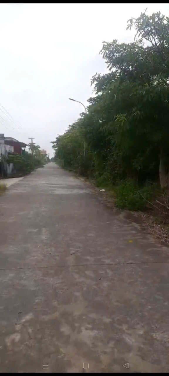 Đất nền Hải Phương, Hải Hậu 100m² giá 1 tỷ - Đầu tư sinh lời ngay!