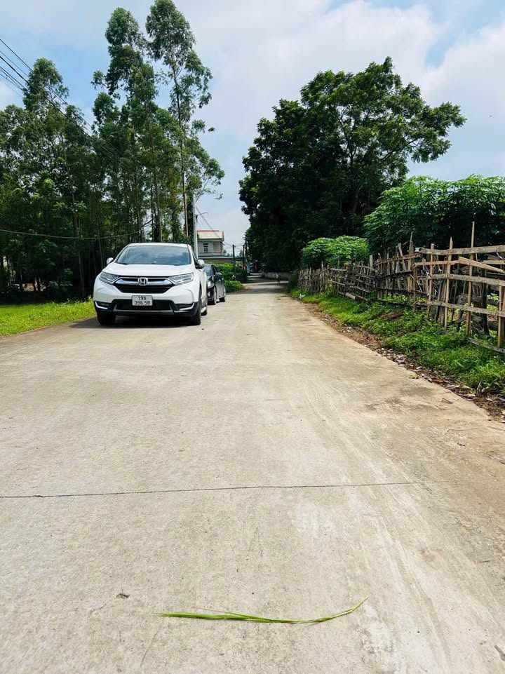 Đất nền khu phố 4 Thanh Đình 104m², giá 1 tỷ - Sổ đỏ chính chủ