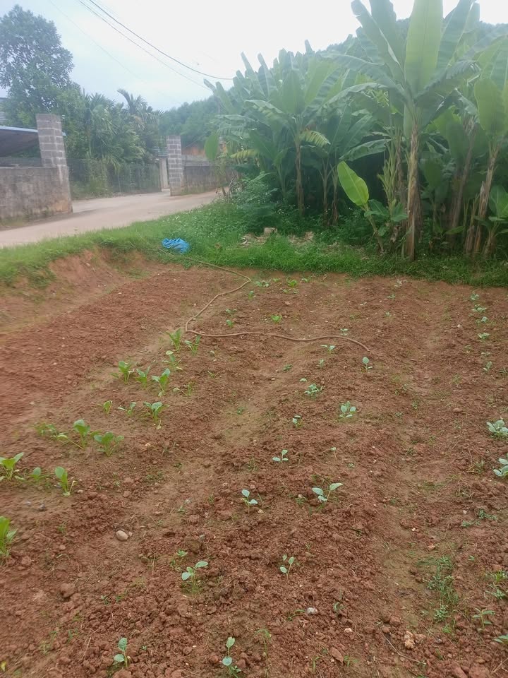 Đất nền Hồng Tiến Phổ Yên 250m² giá 1.2 tỷ - Đầu tư sinh lời ngay!