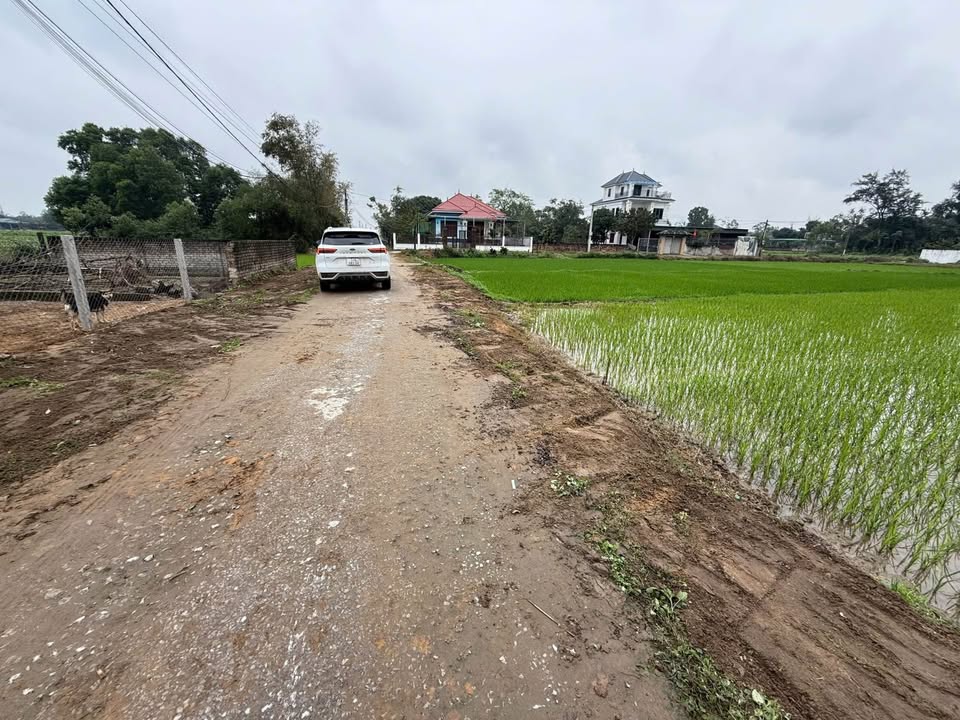 Đất nền Vinh Tân 110m² giá 1.7 tỷ - Phong thủy tốt, đầu tư sinh lời!